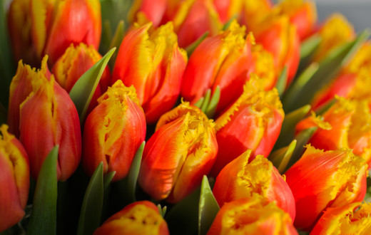 805864 (a): :2800x1775